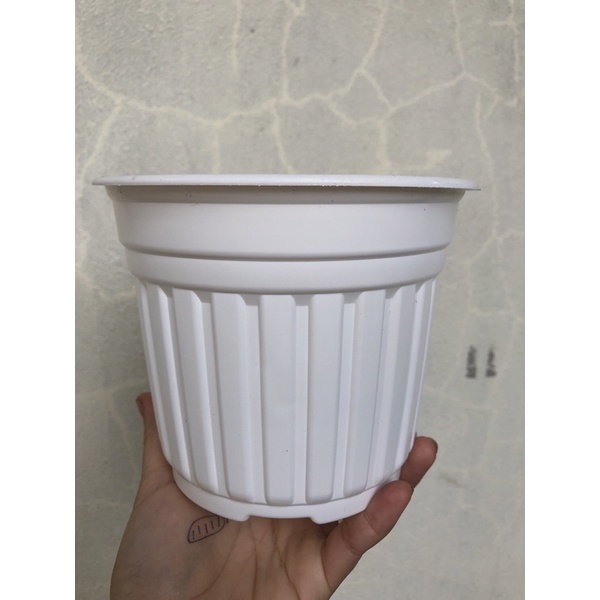 Sét từ 10 chậu kích thước 15×12,5