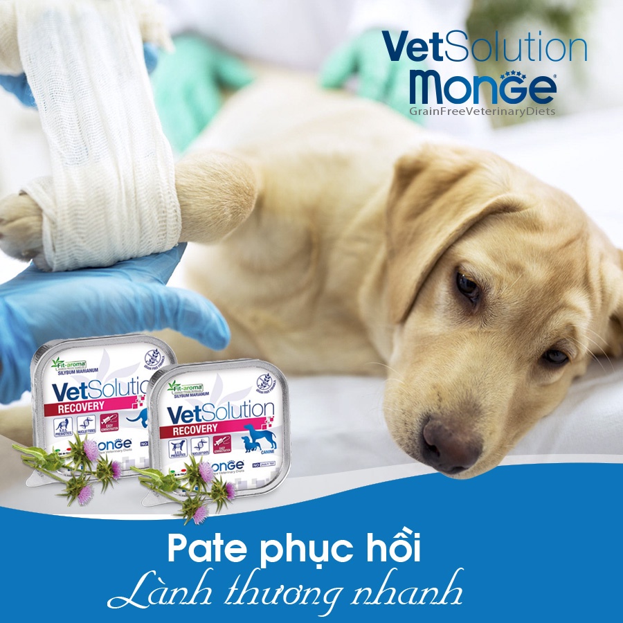 [150gr] Pate Monge Vet Solution hỗ trợ cho chó bệnh tiêu hóa, tiết niệu, phục hồi