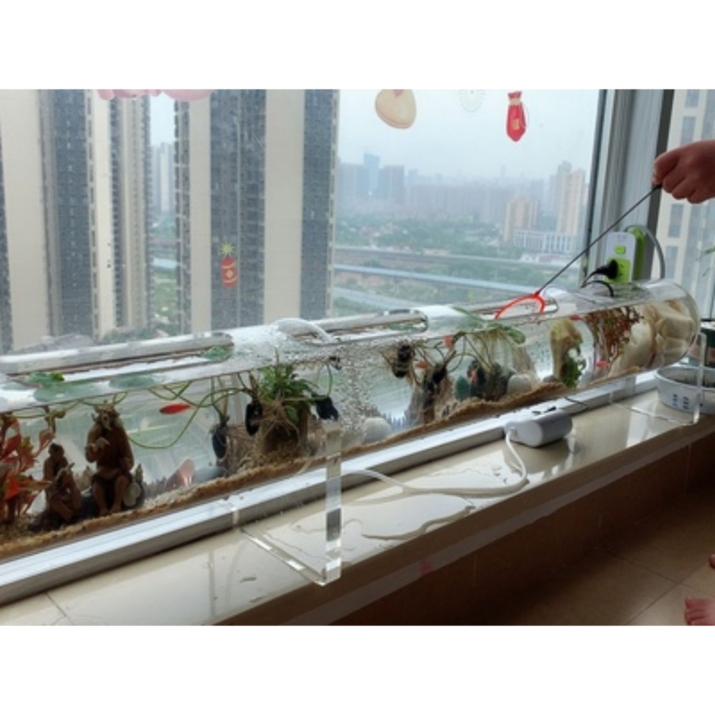 Bể tép cá acrylic hình dạng ống tròn dài 50cm