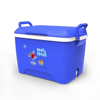 Thùng đá cao cấp Duy Tân 45 Lít