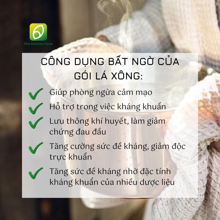 Lá xông thảo mộc giải cảm tăng sức đề kháng công nghệ sấy lạnh The Moshav Farm LX001