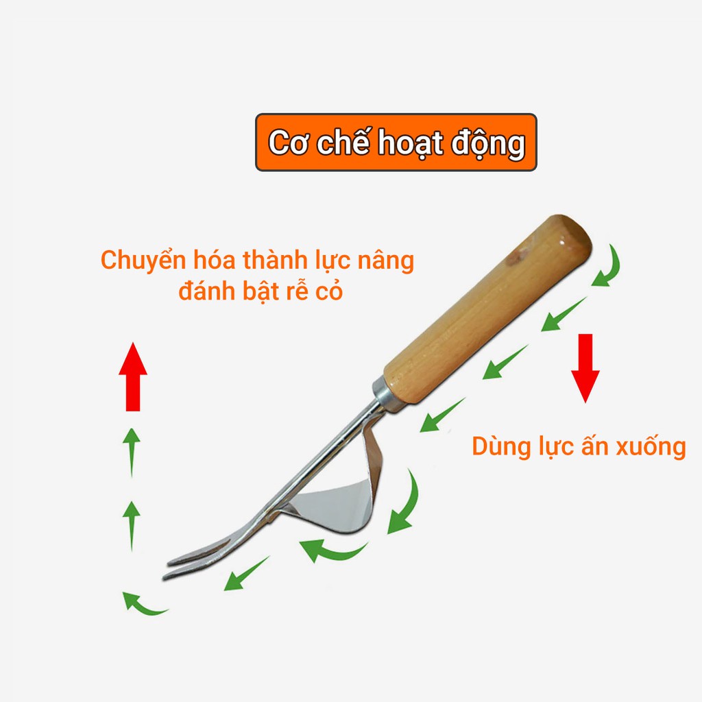 Chỉa nhổ cỏ sâu đánh bật rễ cái bằng thép không gỉ cán gỗ