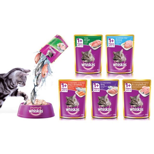 Pate whiskas 85g cho mèo