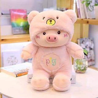Gấu Heo Pig Cao Cấp