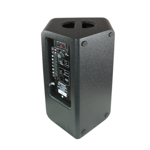 Loa kéo mini Dalton TS-10G300X - Hàng Chính Hãng