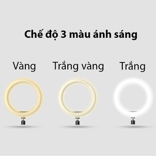 Đèn led tròn dùng cho giá đỡ, tripod