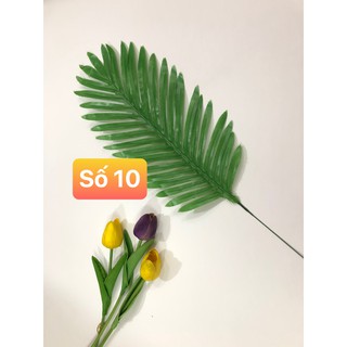Combo chụp ảnh số 71