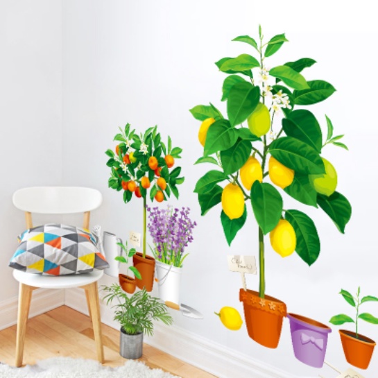 Decal trang trí tường - Những chậu cây ăn quả