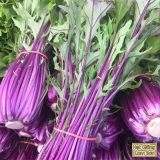 HẠT GIỐNG CẢI MIZUNA TÍM ( Cải Đuôi Phụng ) - Dễ Trồng, Ăn Quanh Năm.