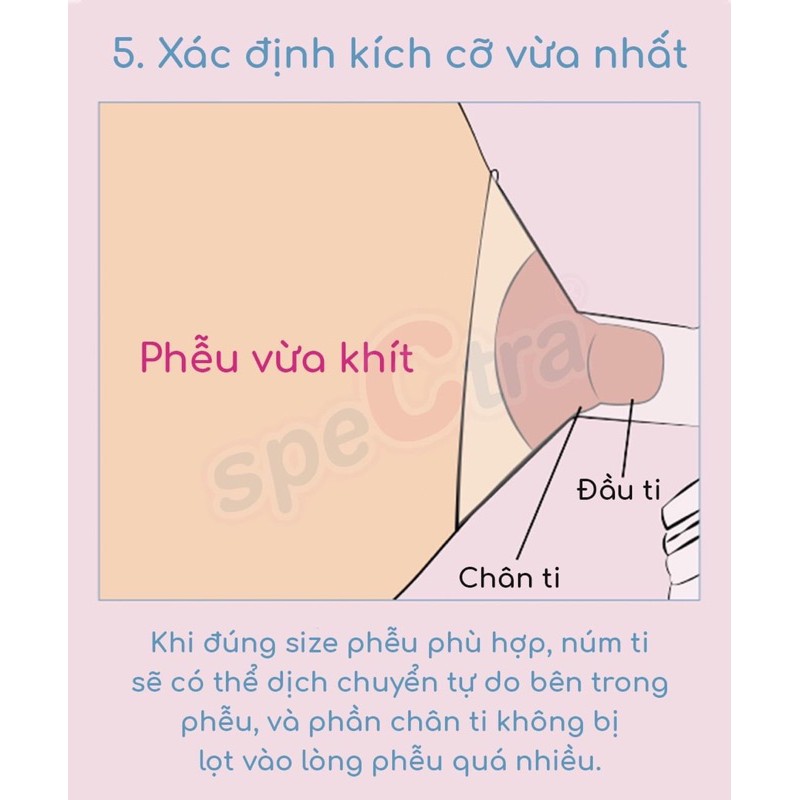 Bộ Phụ Kiện Tiêu Chuẩn Dành Cho Máy Hút Sữa Spectra (size 16mm, 20mm, 24mm, 28mm)