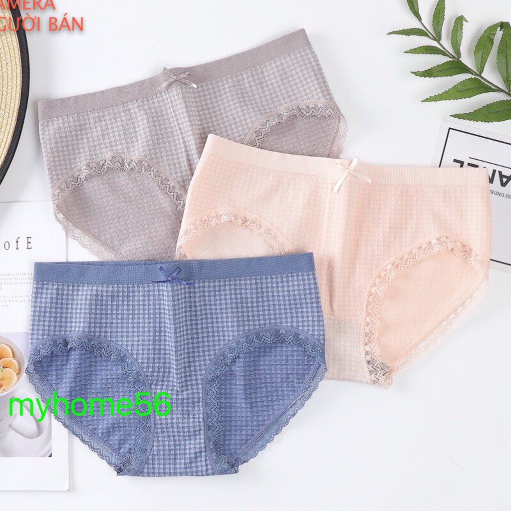 Hộp 5 quần cotton co giãn 4 chiều 008