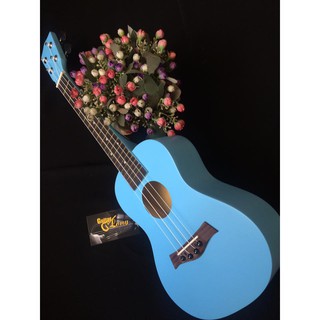 Đàn Ukulele Concert MT39 ( CB3 )