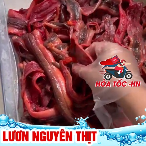 combo 1kg Lươn tách xương tươi sống ngon, bổ dưỡng để nấu canh, súp, cháo (gói 1 kg) - loại nhỏ size 100gram từ 2-3con