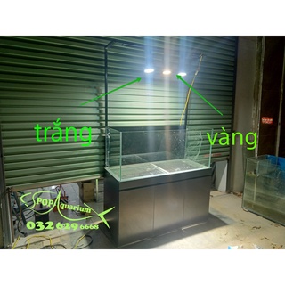 Bộ đèn rọi chuyên dụng cho bể bán cạn