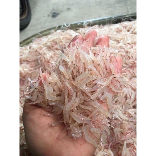 Tép biển tươi cấp đông 1kg (giao tphcm)