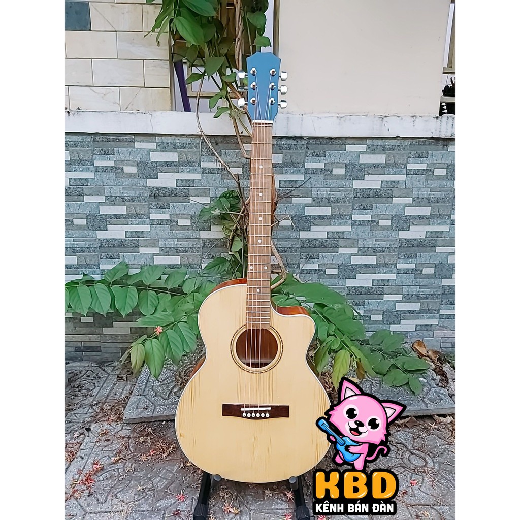 Đàn guitar acoustic KBD629 mặt gỗ thông - đàn chuyên tập chơi [ CÓ TẶNG KÈM PHỤ KIỆN ]