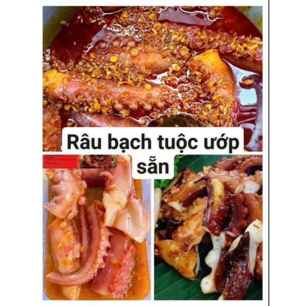 TỔNG HỢP CÁC LOẠI MỰC, RÂU BẠCH TUỘC.