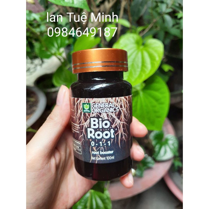 Siêu kích rễ Bio root 100ml – kích rễ cực mạnh nhập khẩu từ Mỹ