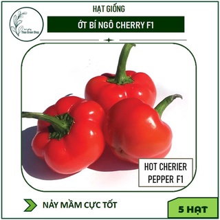 Hạt giống Ớt Bí Ngô Cherry F1