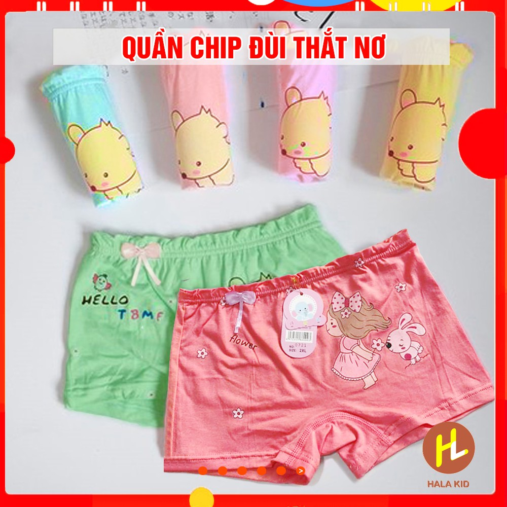 Combo 5 Quần chip đùi, quần lót THẮT NƠ cotton mịn nhiều mẫu cho bé gái (7-35kg) QATE0105