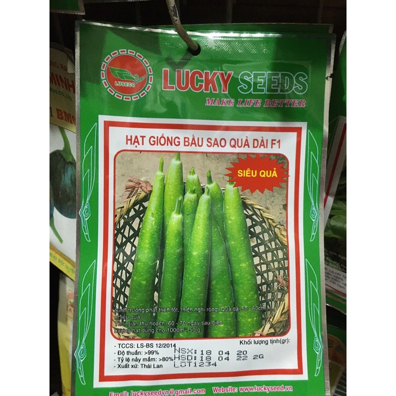 Hạt giống bầu sao
