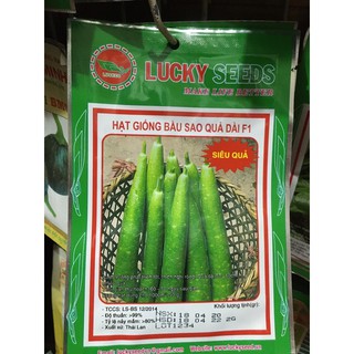 Hạt giống bầu sao