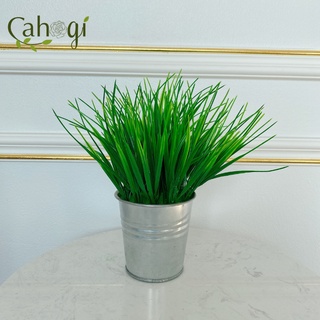 Cây Trang Trí - Cành Mạ Non 0143
