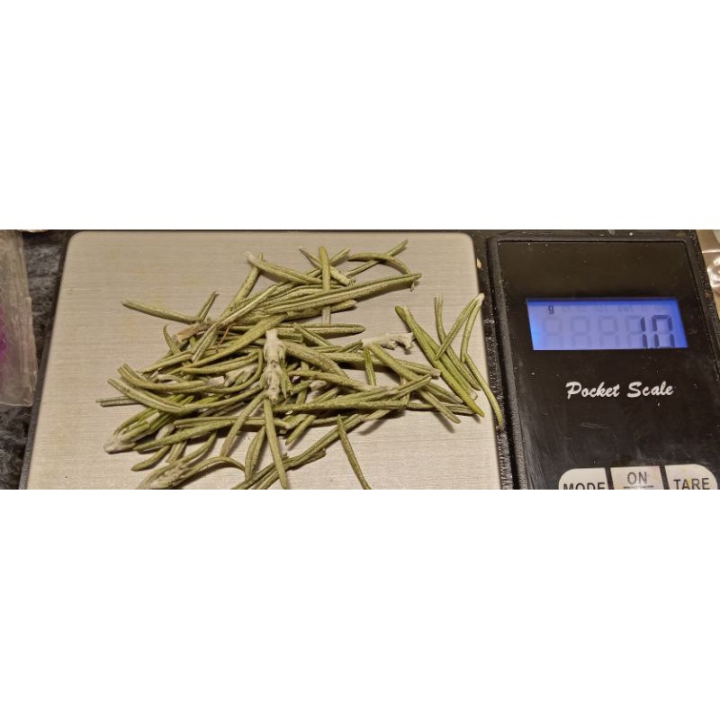 9293trangtri - Túi 1 gram Lá Hương Thảo Rosemary thơm khô tự nhiên - Phụ kiện làm Nến thơm - 9293store