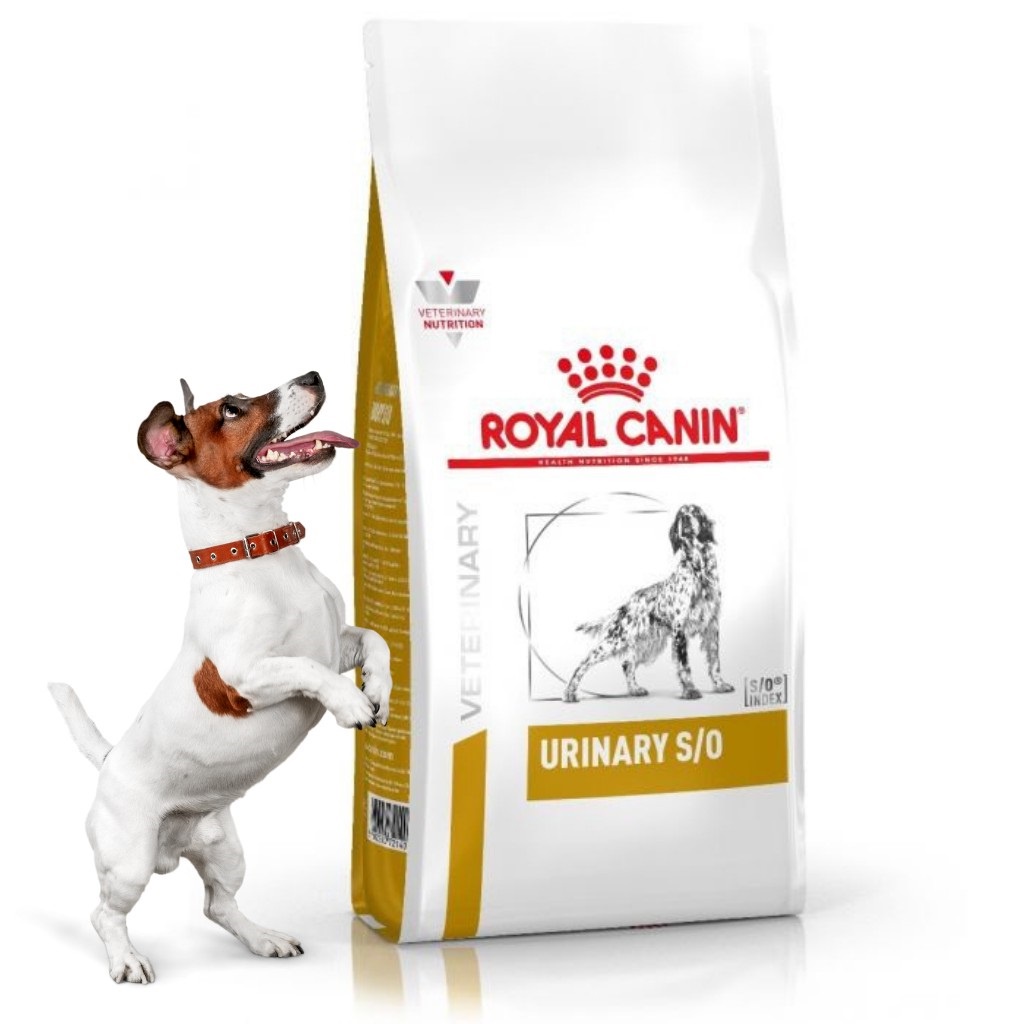 ROYAL CANIN  Urinary S/O 2kg - Hạt Cho Chó Sỏi Thận