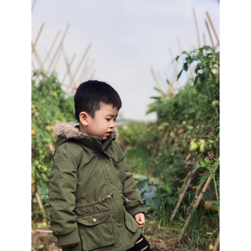 Parka xanh rêu