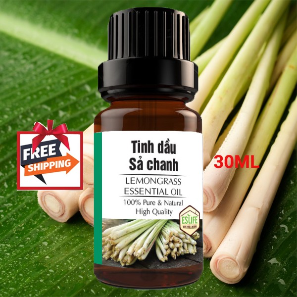 Tinh dầu xông đốt | Tinh dầu Sả Chanh nguyên chất 100% | Thơm phòng, đuổi muỗi, khử mùi nhà cửa của Eslife | BigBuy360 - bigbuy360.vn