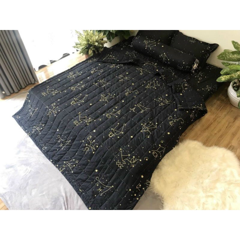 Bộ chăn hè trần bông ga gối 5 món poly cotton hàng loại 1