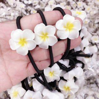 Túi 10 thun cột tóc hoa sứ trắng