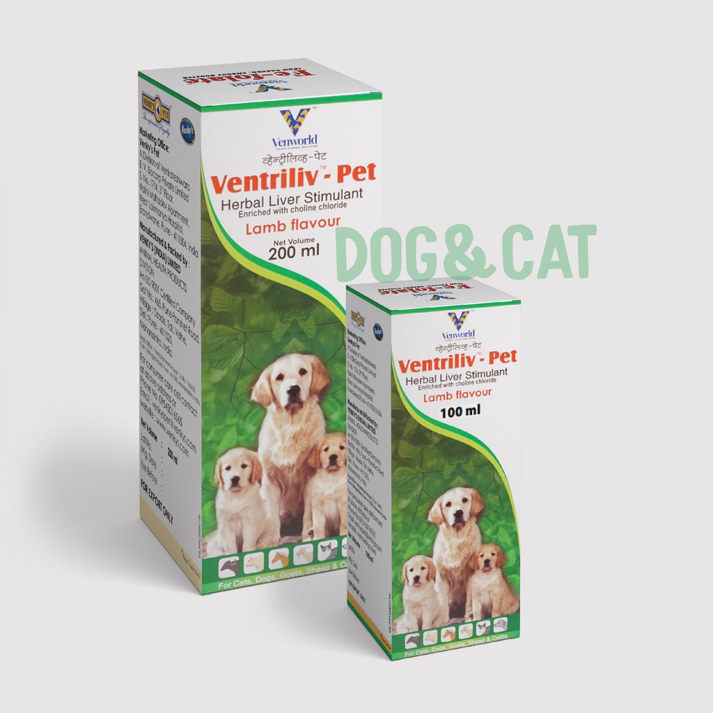 𝐁𝐎̂̉ 𝐆𝐀𝐍 𝐂𝐇𝐎́ 𝐌𝐄̀𝐎 𝐕𝐄𝐍𝐓𝐑𝐈𝐋𝐈𝐕 𝐏𝐄𝐓 - vị Thit Cừu