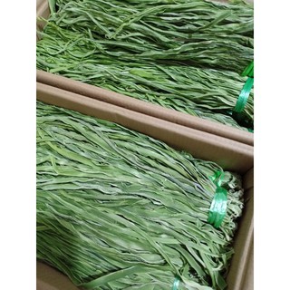 200g Rau tiến vua (rau cần biển) mới xanh non