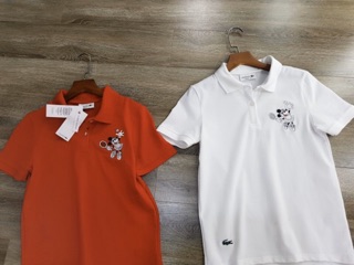🌼🌼🌼ÁO THUN POLO 🐊 XỊN XÒ🌟🌟🌟