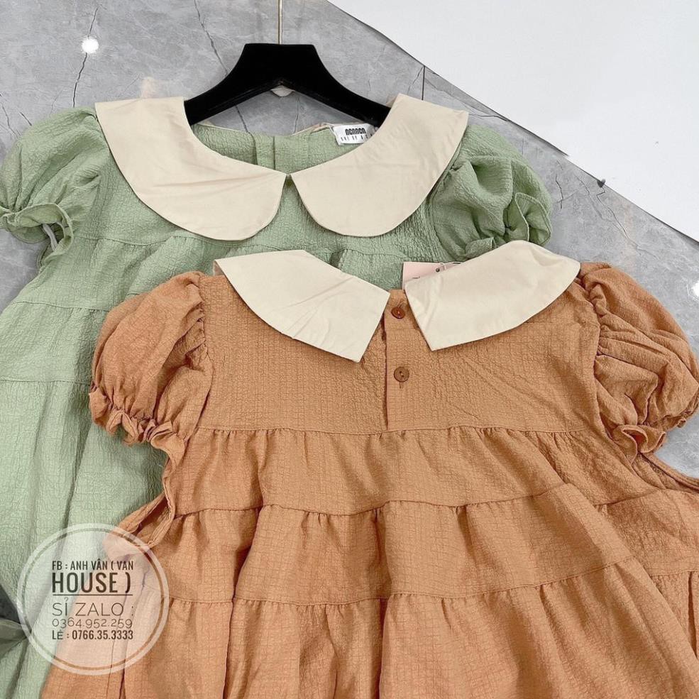 Set áo babydoll cổ bèo mix quần sooc 2 mầu siêu xinh - S25  , thời trang nữ Hamoon | BigBuy360 - bigbuy360.vn