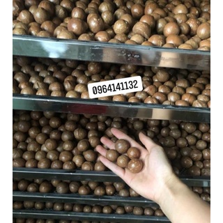 500g_Macca Đăk Lăk