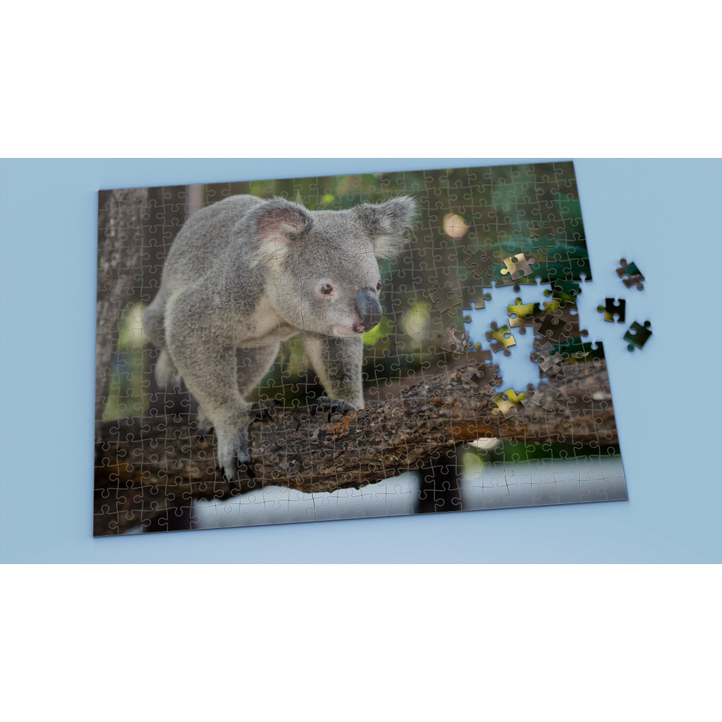 Tranh ghép hình Animal - Tranh ghép hình KOALA - Mẫu 4 - Nhận in hình tranh ghép theo yêu cầu