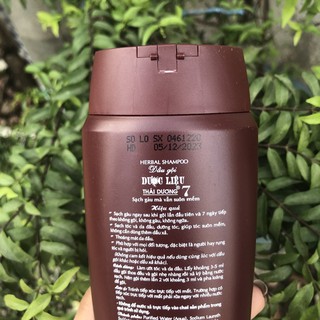 Dầu gội dược liệu Thái dương 7