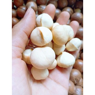 HẠT MACCA ĐẮC LẮC 500gr (1 Bịch)