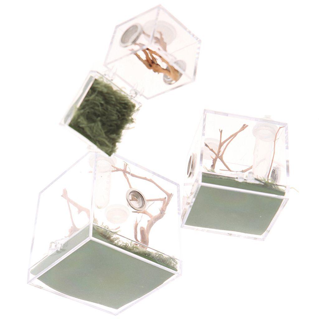 1 Bộ Hộp Sinh Thái Bằng Acrylic Thoáng Khí Cho Nuôi Kiến / Côn Trùng Mini