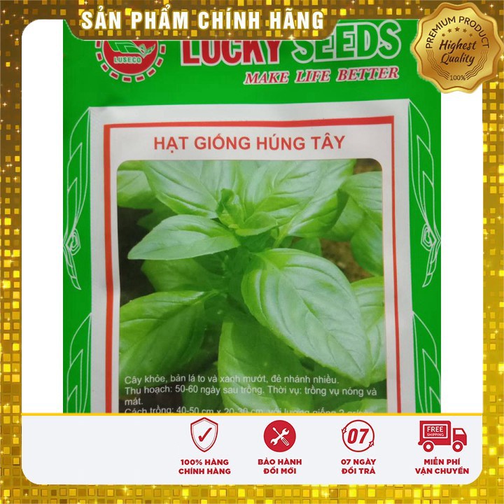 Hạt giống rau húng tây - 1gr