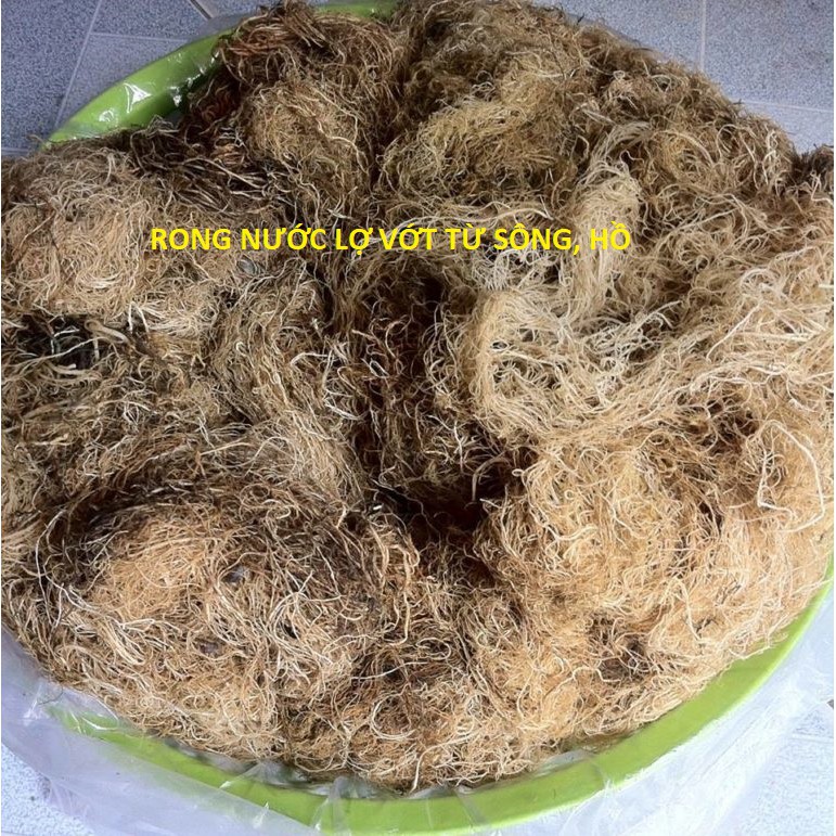 Rong biển (Rau câu)nấu xu xoa lý sơn 100g | BigBuy360 - bigbuy360.vn