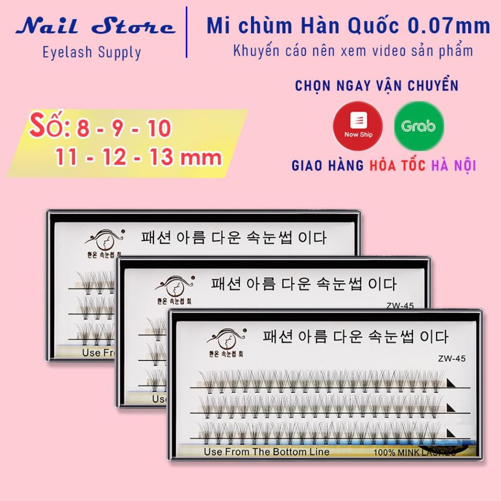 [SALE SỐC] Mi chùm Hàn Quốc Eyelash Supply HOT