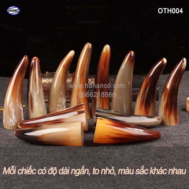 Chóp sừng Bò Châu Phi vật phẩm phong thủy - Mang lại giàu sang, sung túc