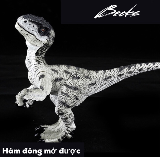 Mô Hình Khủng Long Velociraptor