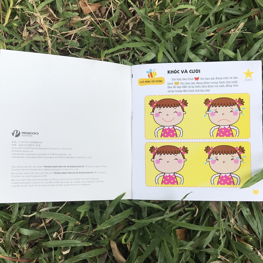 Sách - Sticker Phát triển chỉ số thông minh IQ dành cho trẻ 2-6 tuổi - Tập 1