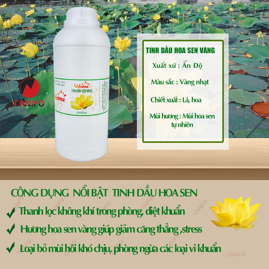 Tinh dầu hoa sen nguyên chất 1 lít Canifo - Tinh dầu sen vàng thơm phòng, hương nước hoa thơm khử mùi, xông phòng