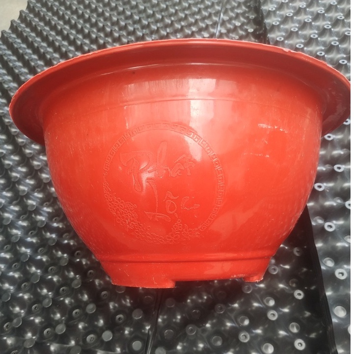 Chậu Nhựa Trồng Cây Truyền Thống T48, kích thước chậu 48x22x25cm